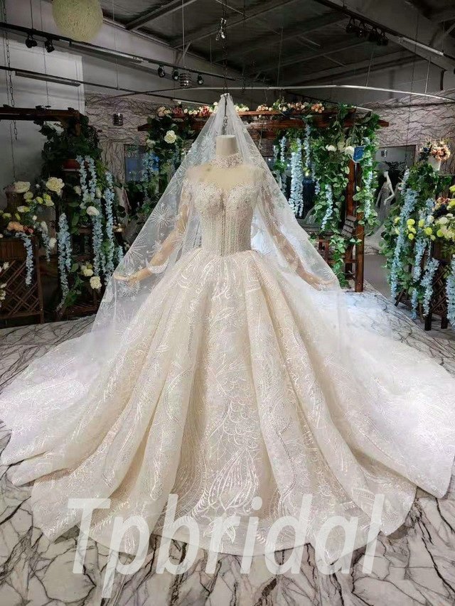 ball gown with veil