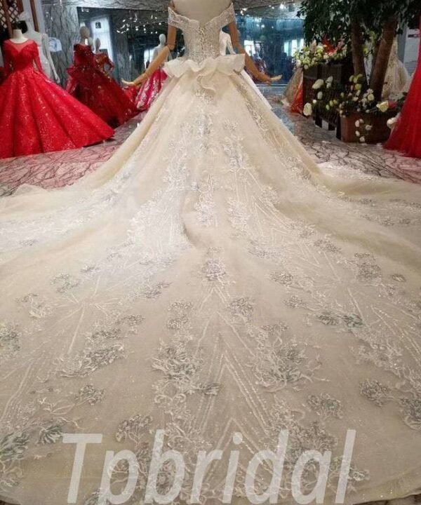 a line champagne wedding dress 573-04