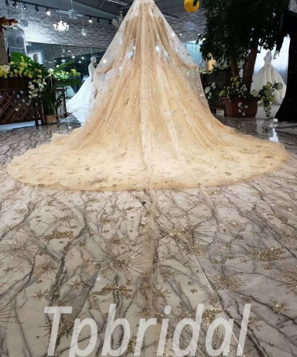 gold ball gown wedding dress 579-11