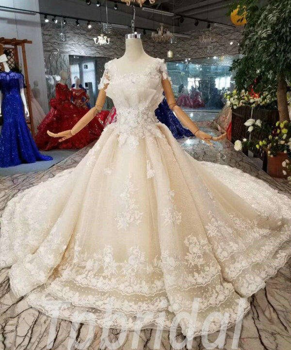 princess wedding gown 2019 575-03