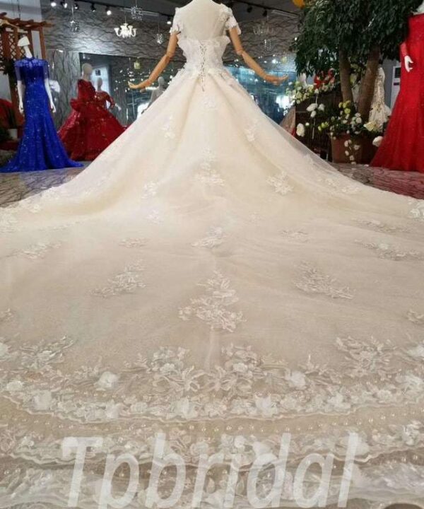 princess wedding gown 2019 575-06