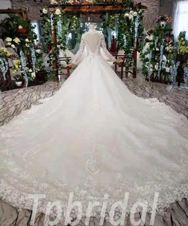 v neck ball gown wedding dress 584-02