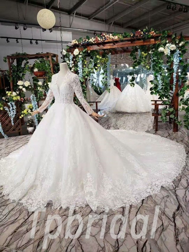 V Neck Ball Gown Wedding Dress White Long Sleeve Bridal