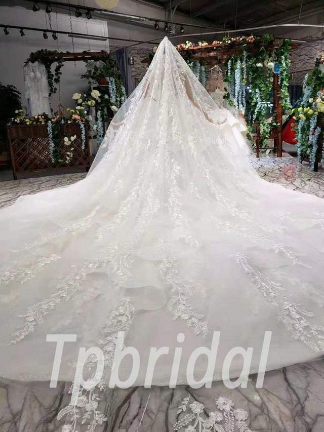 ball gown with veil