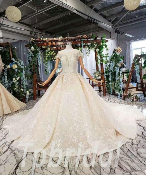 short sleeve wedding dress 605-01