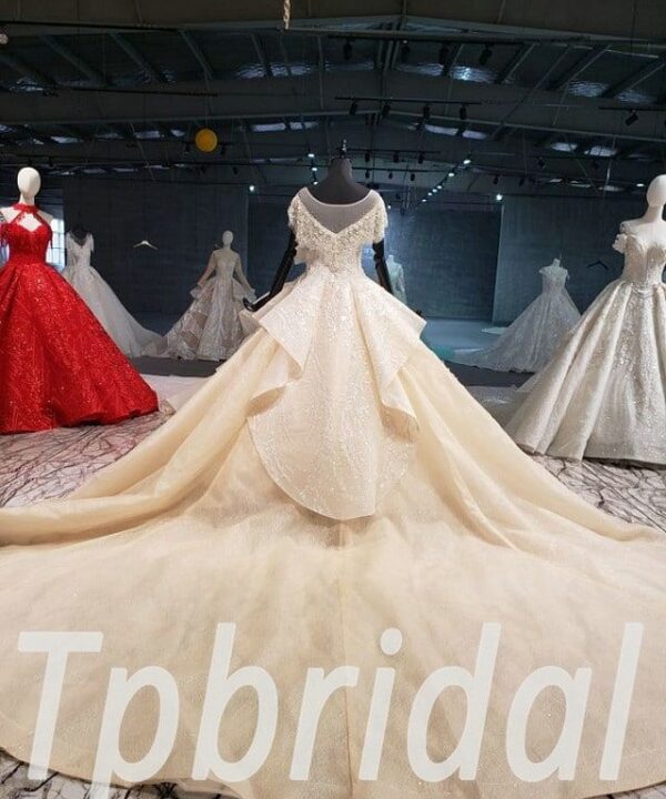 champagne wedding dress 2020 660-07