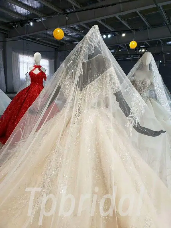long veil wedding dress 691-004