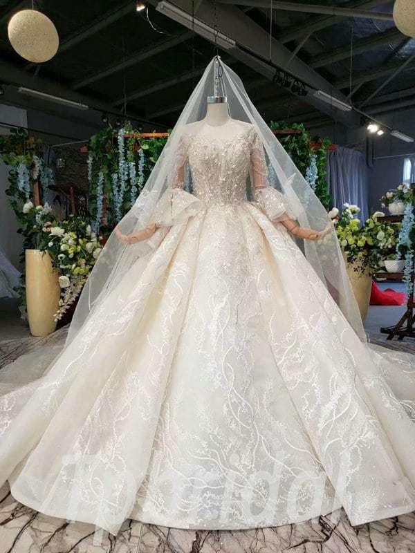 Wedding Dress 2020 With Veil V Neck Ball Gown Long Train