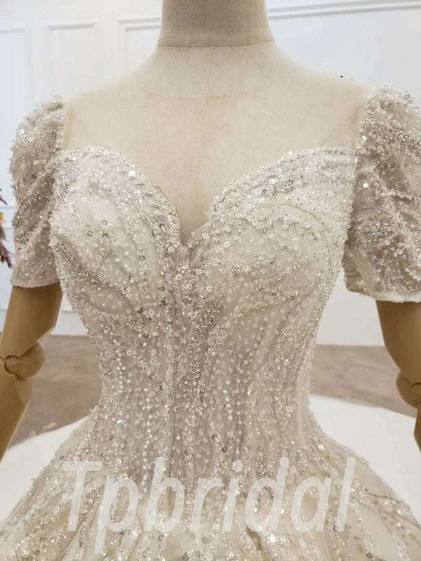 New Wedding Dress Illusion Light Champagne Long Train Bridal Gown
