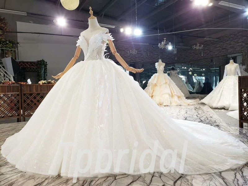 Amazon.com: Elliebridal Boat Neck Long Sleeve Puffy Princess Women Ball  Gown Wedding Dress for Bride with Train Plus Size Customize Ivory :  Clothing, Shoes & Jewelry