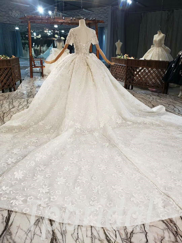 Champagne Ball Gown Wedding Dress Illusion Neckline Train