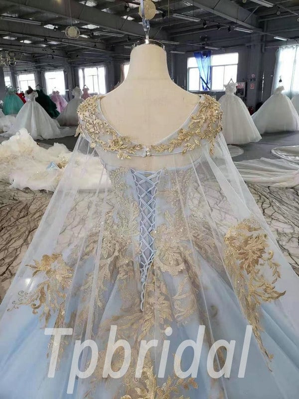 Evening (wedding) Blue Dress Featuring Gold Embellishments. Stock  Illustration - Illustration of fashion, luxury: 275757819