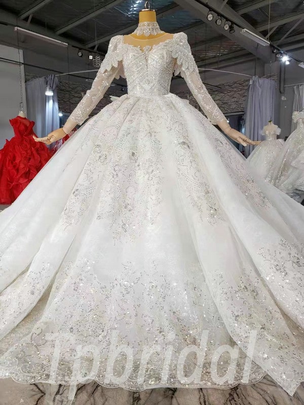 Long Sleeve Winter Wedding Dress Ball Gown Fall Spring Bridal Gown