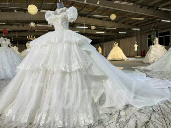 long train lace wedding dress-1095-006