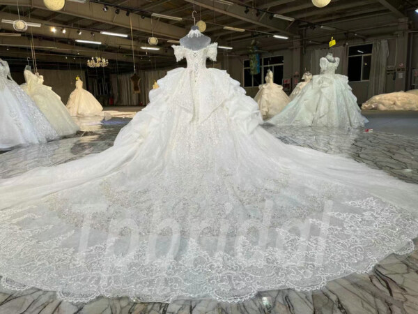 princess lace wedding dress-1094005