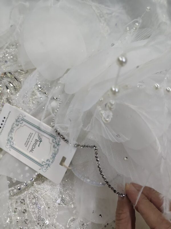 Princess Ball Gown Wedding Dress 202227 (2)