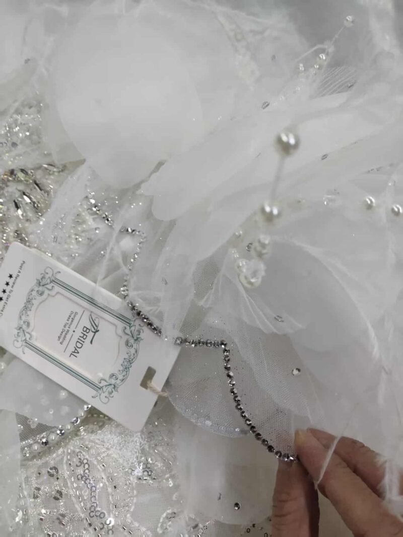 Princess Ball Gown Wedding Dress 202227 (2)